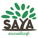 Saya Foundation